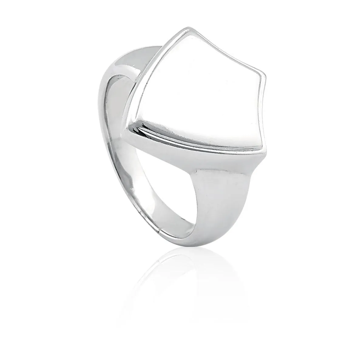 Anel de prata 925 masculino com brasão