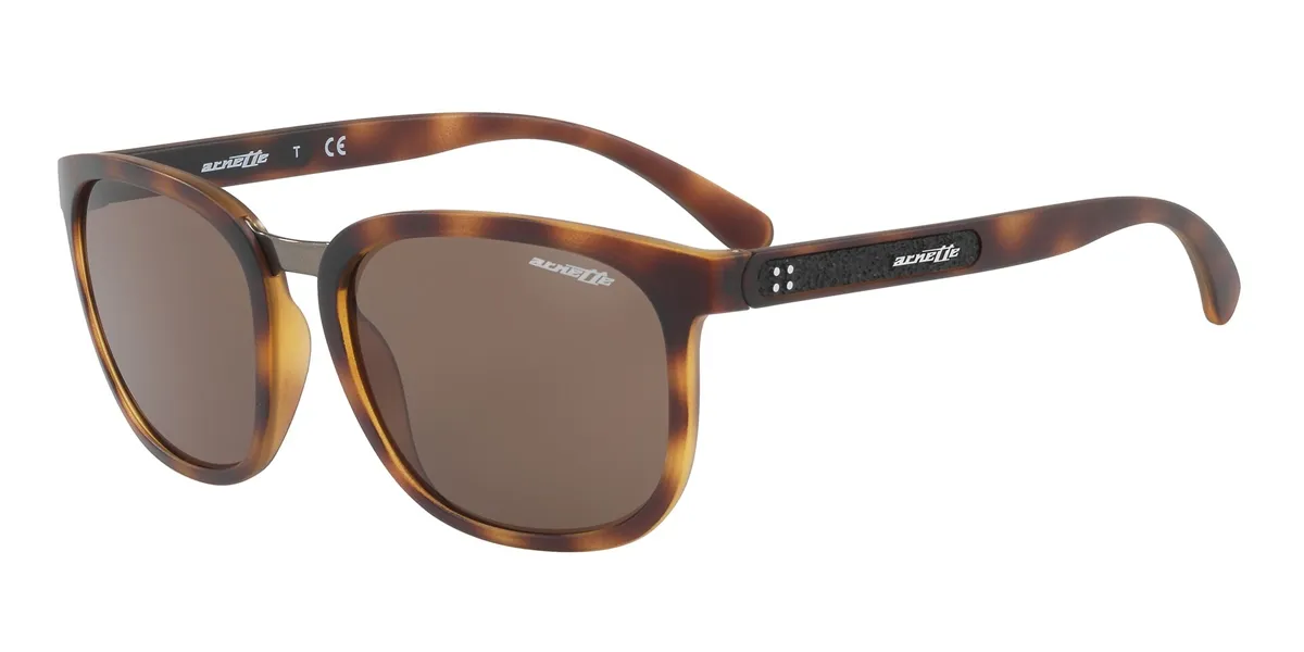 Óculos de Sol Arnette Masculino - 0AN4238 23757355