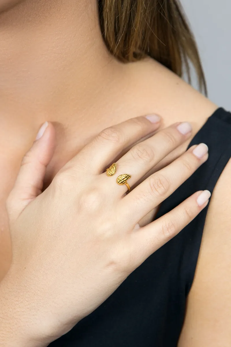 Anel de Ouro 18k de Asas