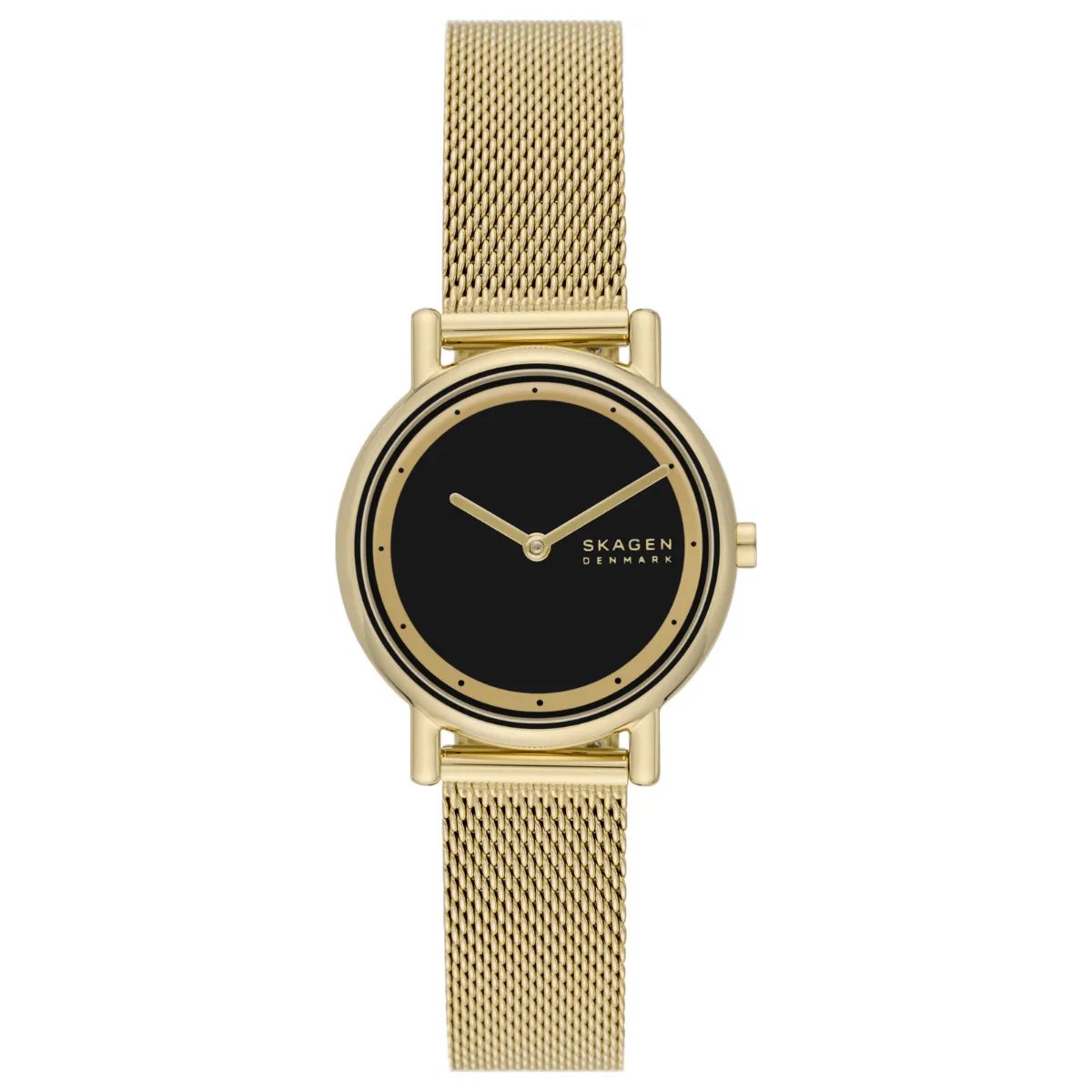 Relógio Skagen Signatur Lille Feminino - SKW3111B1 P1KX