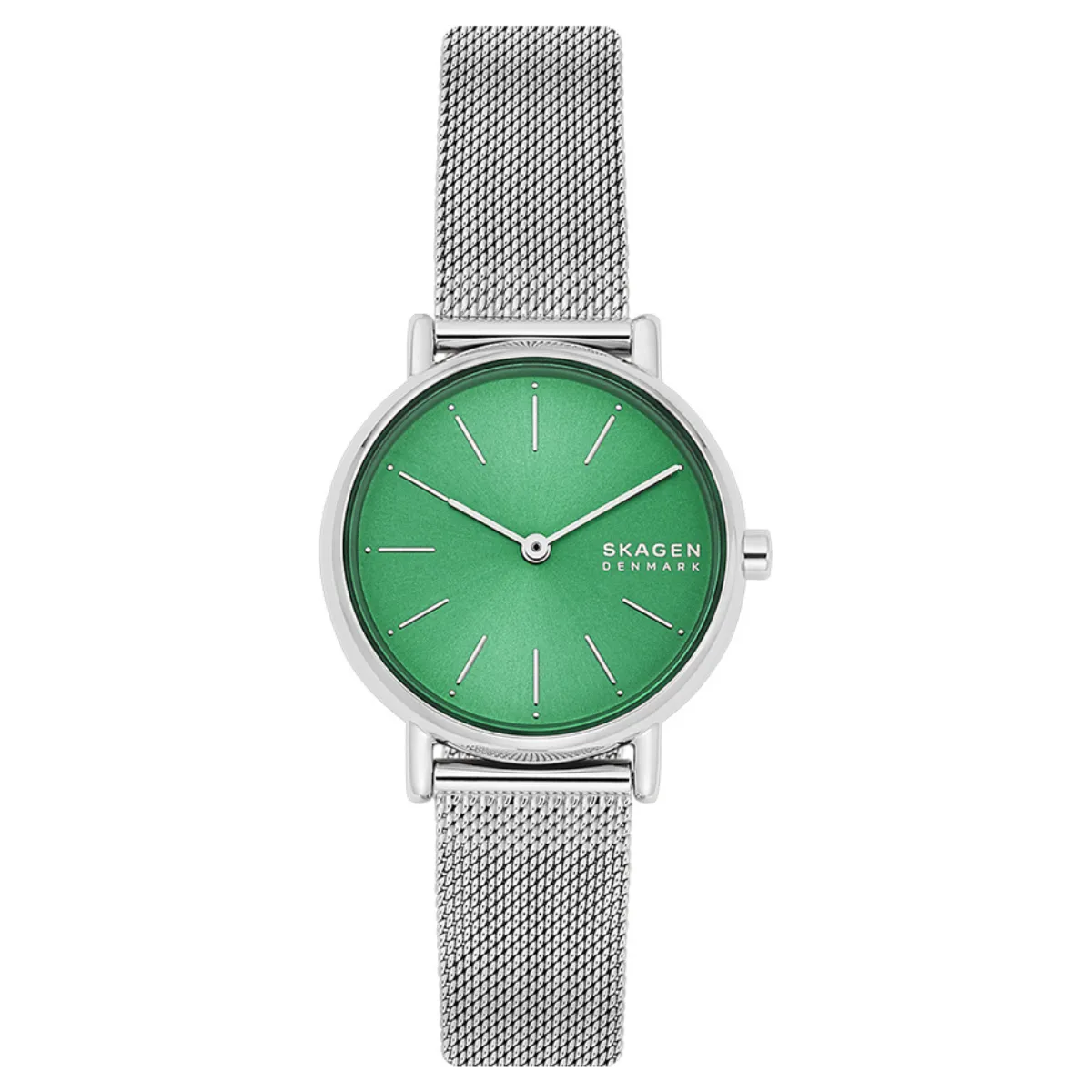 Relógio Skagen Signatur Feminino - SKW2869/1KN E1SX