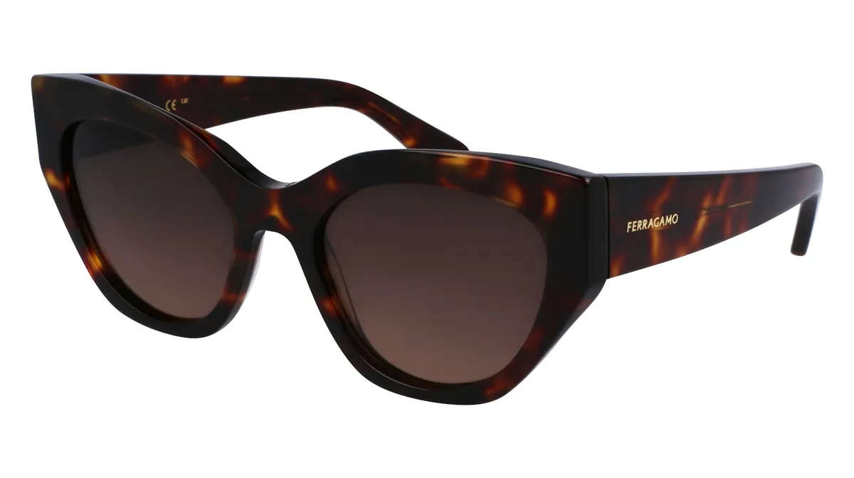 Óculos de Sol Salvatore Ferragamo SF1107S 242 55 Acetato Marrom Mesclado com lentes na cor Marrom Degradê