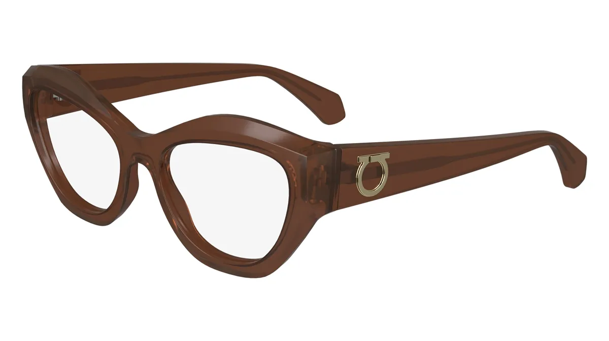 Armação de Grau Acetato Salvatore Ferragamo SF2982 Marrom