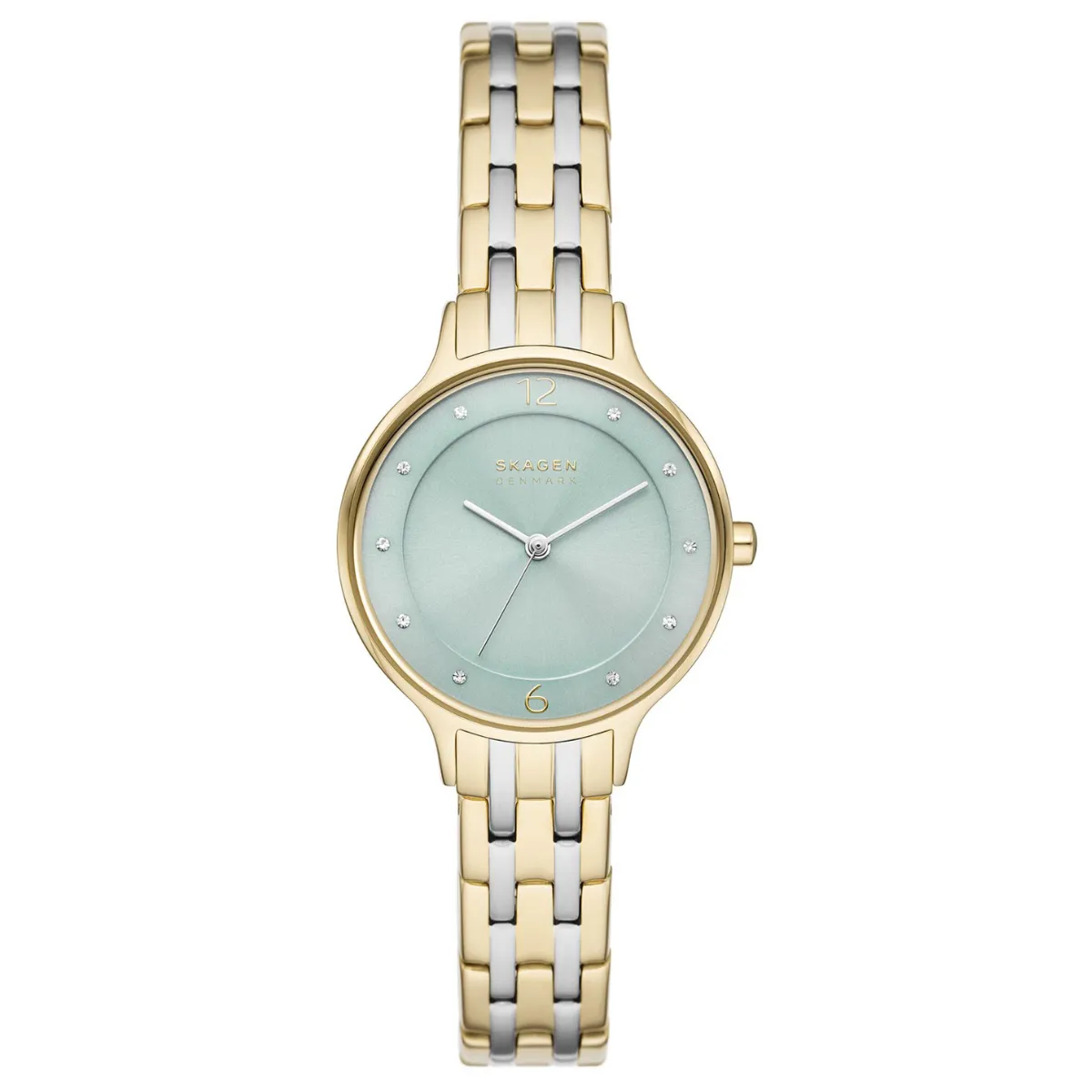 Relógio Skagen Anita Lille Feminino - SKW3132B1 A2SX Bicolor