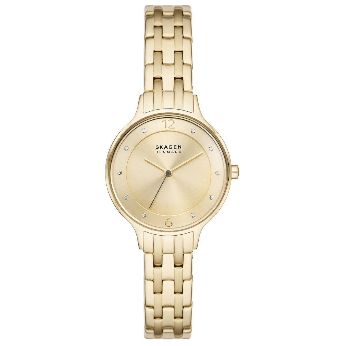Relógio Skagen Anita Lille Feminino - SKW3127B1 C2KX Dourado