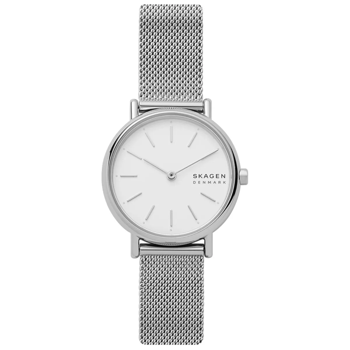 Relógio Skagen Signatur Lille Feminino - SKW26921KN B1SX Prata