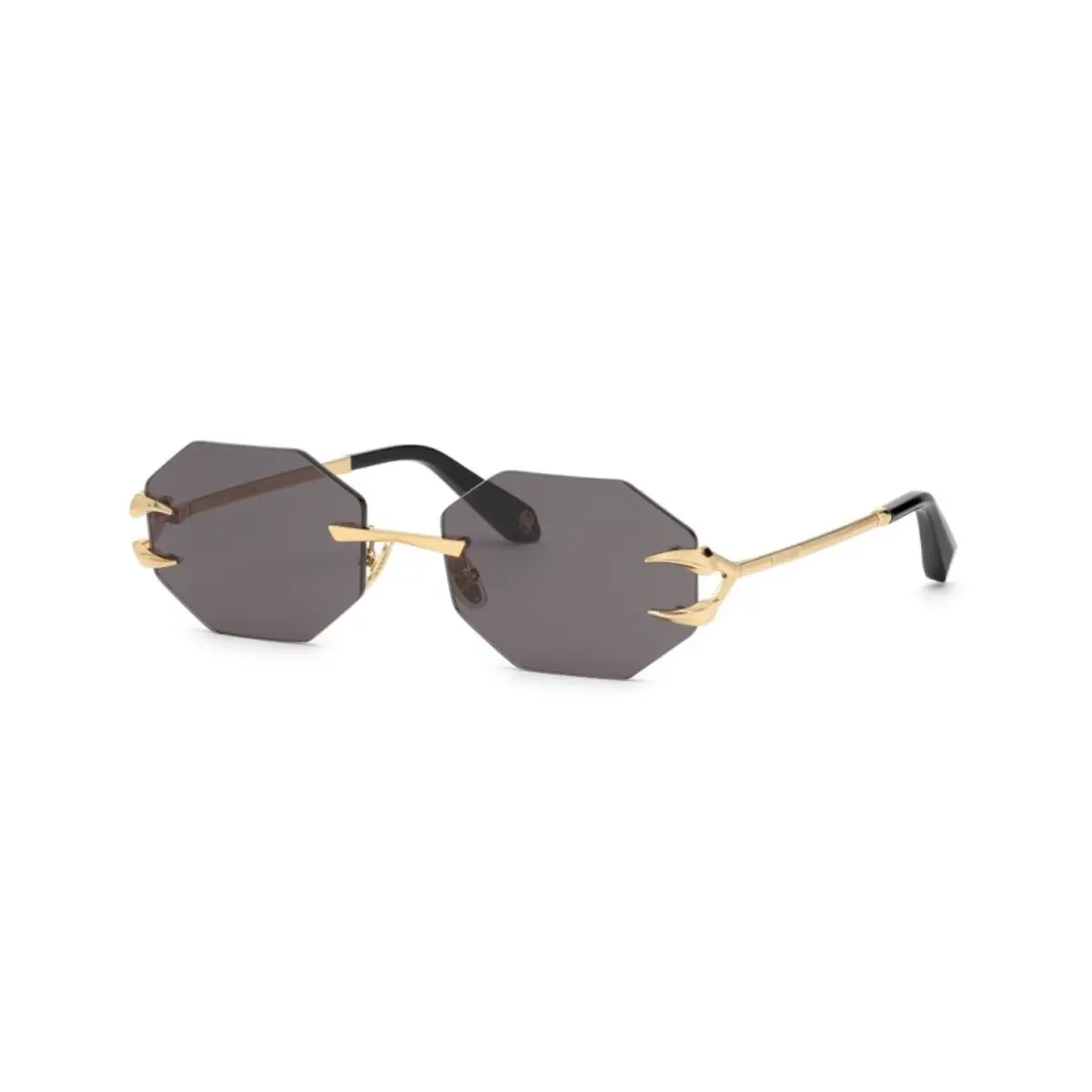 Óculos de Sol Roberto Cavalli SRC005 590300 Metal Dourado com lentes na cor Cinza