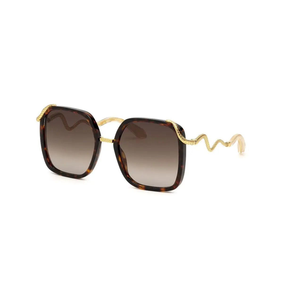 Óculos de Sol Roberto Cavalli SRC003M 550743 Acetato Marrom Mesclado com lentes na cor Marrom