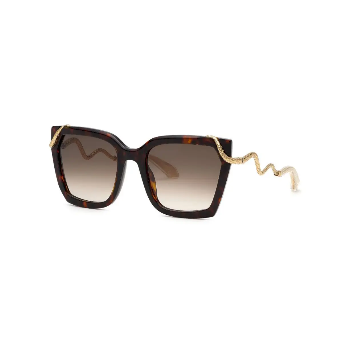 Óculos de Sol Roberto Cavalli SRC034M 560743 Acetato Marrom Mesclado com lentes na cor Marrom Degradê