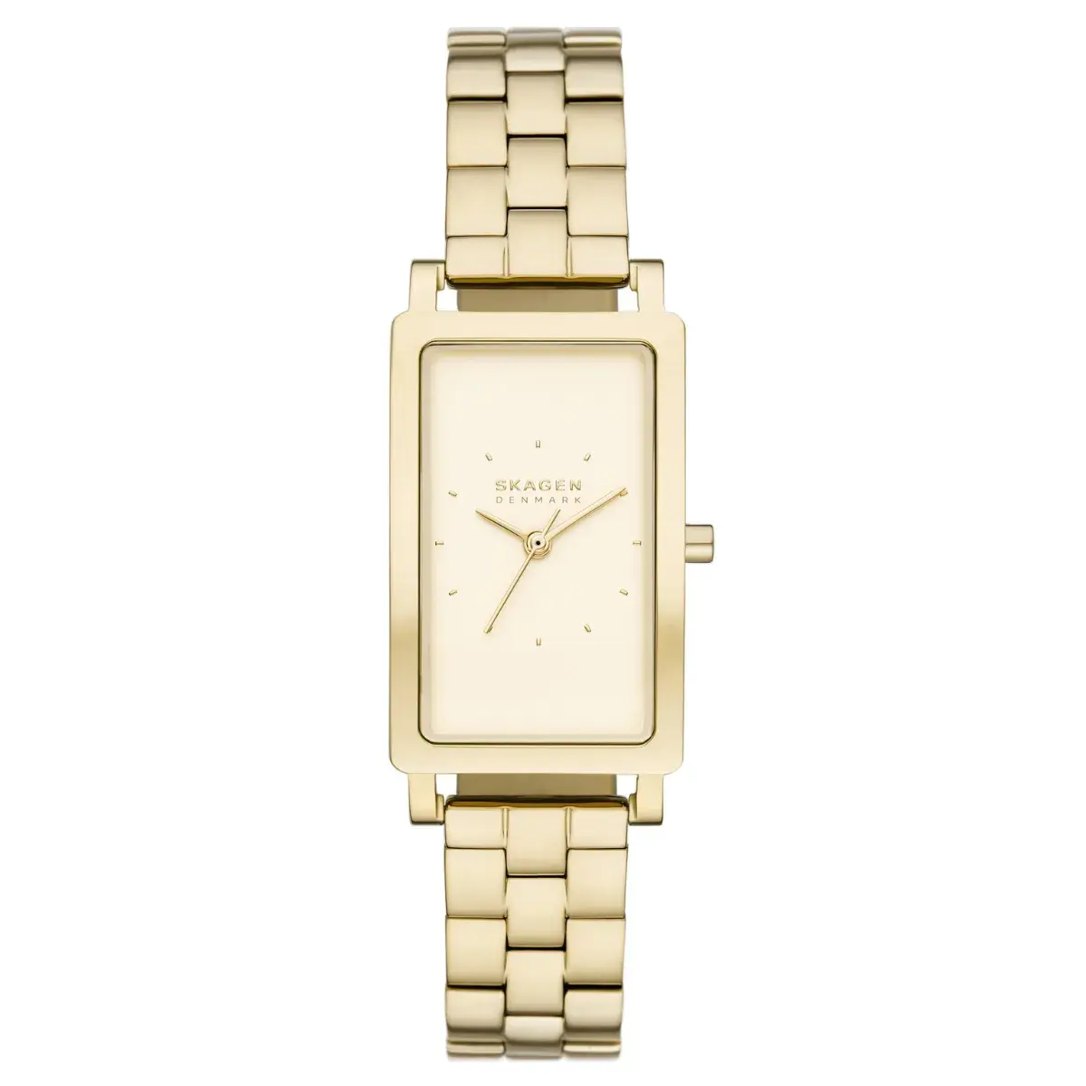 Relógio Skagen Hagen Feminino - SKW3098B1 C1KX Dourado