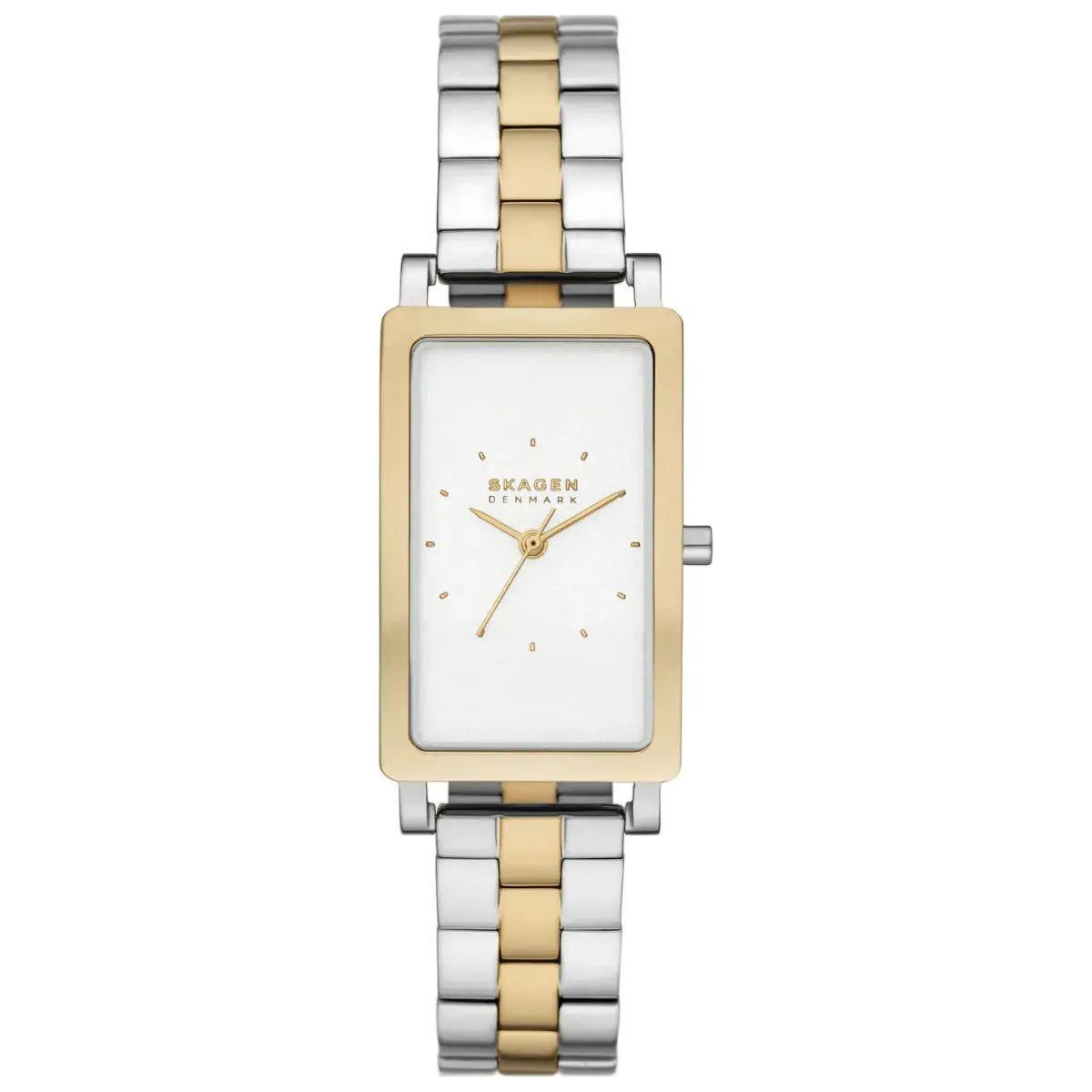 Relógio Skagen Hagen Feminino - SKW3156B1 B1SK Dois tons