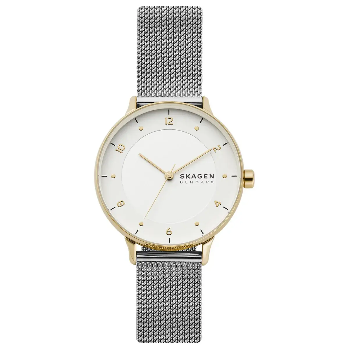 Relógio Skagen Riis Feminino - SKW2912B1 B2SX Prata