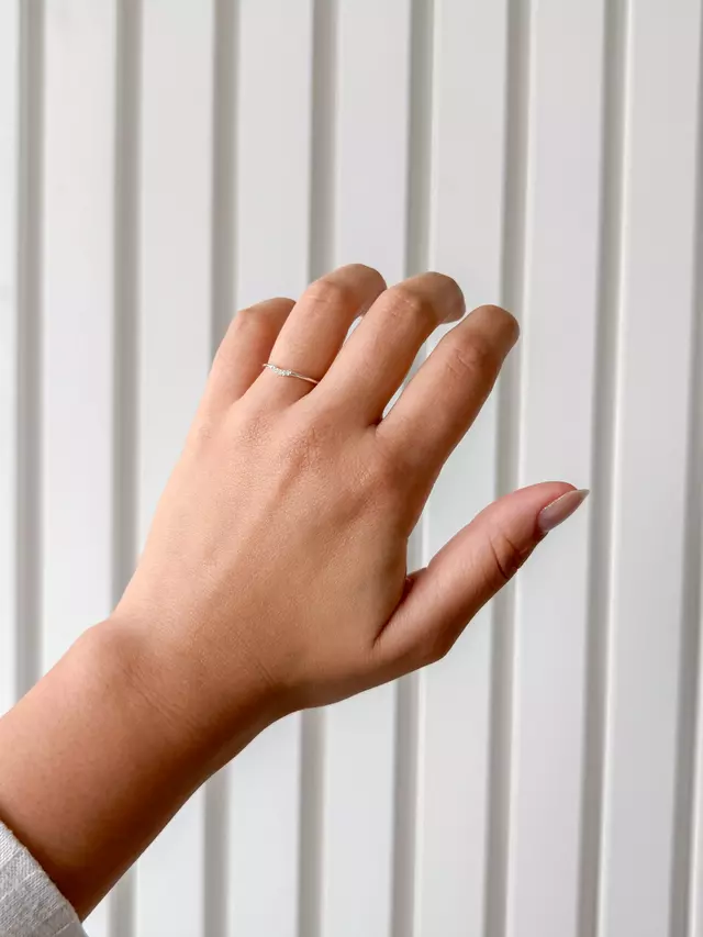 Anel Fio Cravejado - Prata